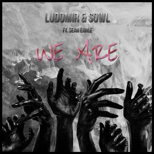 Ludomir & SOWL - We Are (feat. Sean Earle) [신남, 평화, 경쾌]