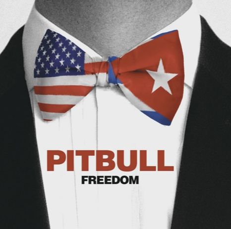 Pitbull - Freedom (비트, 흥겨움)
