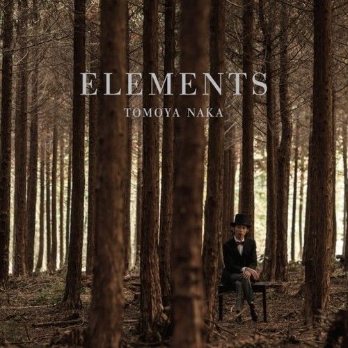 Tomoya Naka - Bouquet de Lumière (평화, 아련, 피아노)