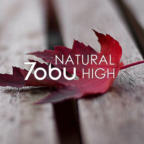 7obu(Tobu) - [Natural High]