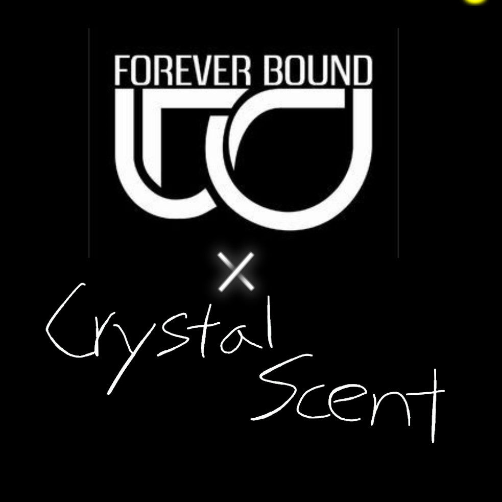 Forever Bound - Stereo Madness (Crystal Scent's Remix)