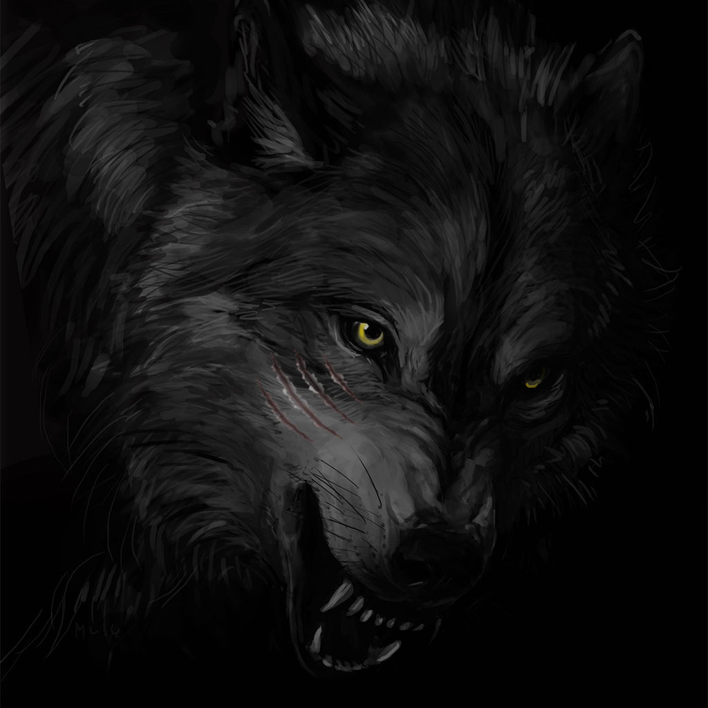 Silverwolf - 연습 브금 1