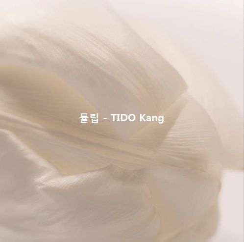 [자작곡] 튤립 - TIDO Kang (슬픈 피아노) (Piano)