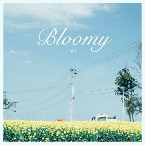 [.que] - Bloomy (평화, 순수, 활기)