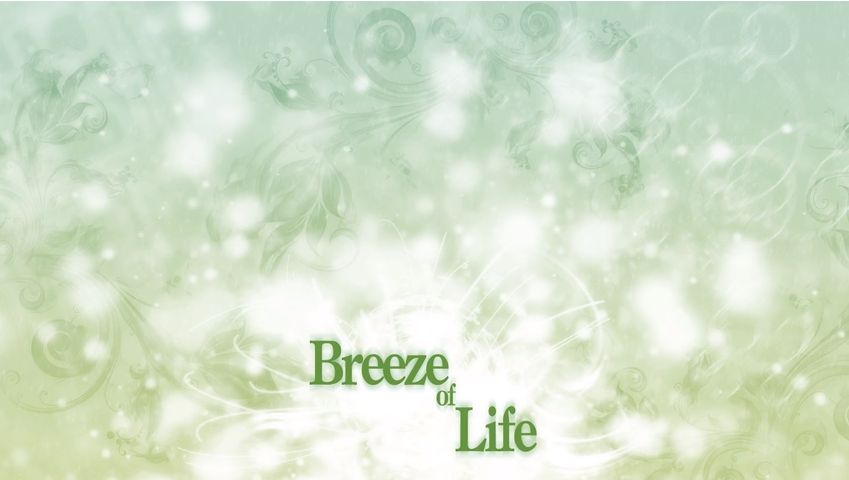 A Hisa - Breeze of Life(활기 평화 순수 따뜻)