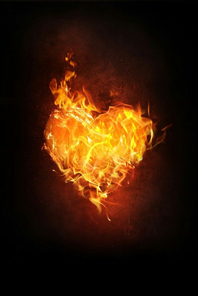 L M Double U - Burning heart (신남,격렬,edm)