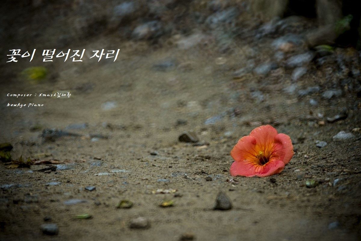 [자작곡] Xmask김대환 - 꽃이 떨어진 자리