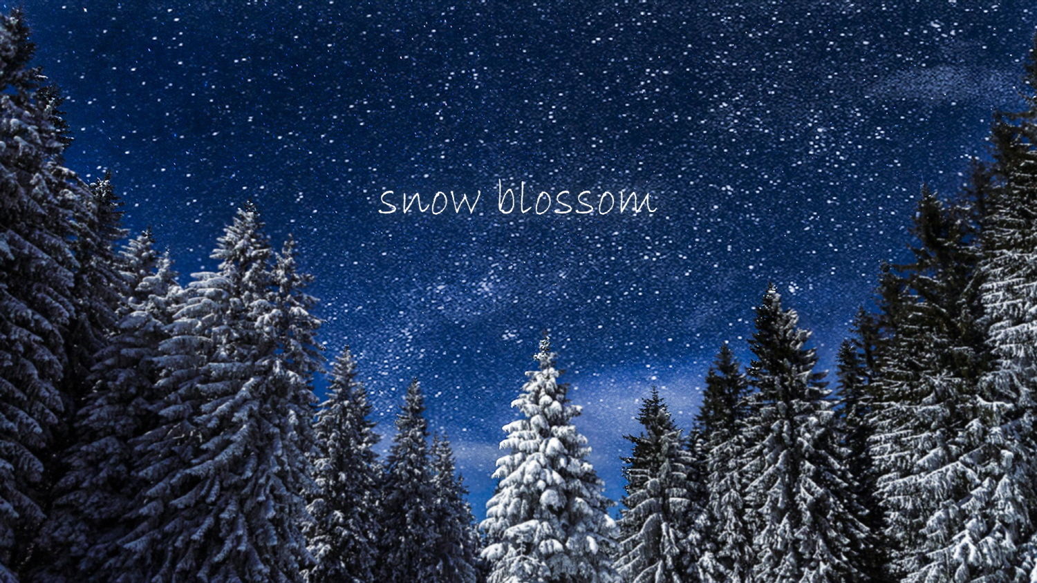 [자작곡] 청월령 - snow blossom (신비, 고요, 활기, 따뜻, 피아노)
