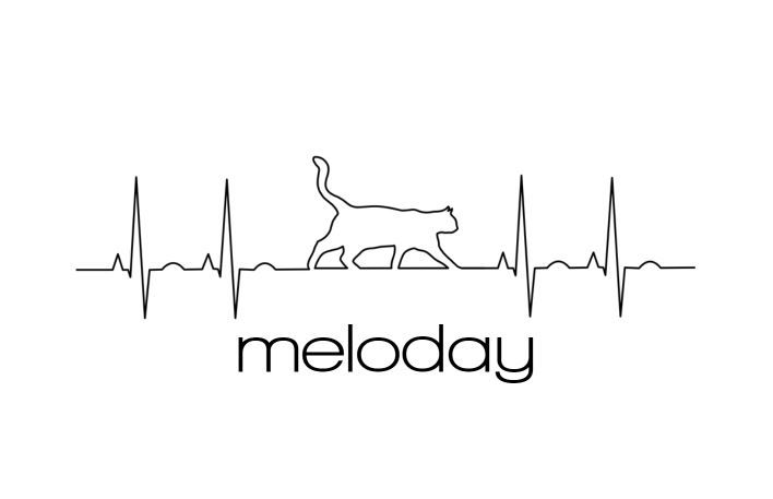 [자작곡] Today is Meloday! (신남.댄스.리드.멜로데이)
