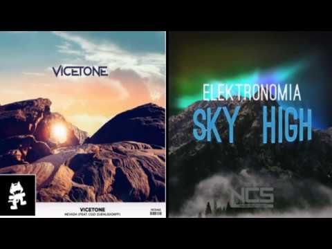 ViceTone - Nevada Elektronomia - Sky High Mashup (신남)
