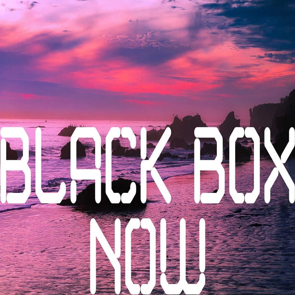BLACK BOX - Now(평화, 신남, 격렬, 비트, 즐거움, 흥겨움, 발랄, 클럽, 흥함, 활기, 행복, 당당, 경쾌, 일렉. 감동)