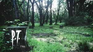 (공포,긴박,게임) Silent Hills - Playable Teser [Background Music 01 + Lisa Crying]