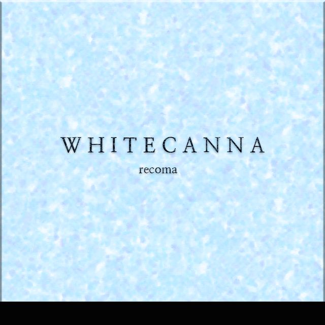 recoma - White Canna (슬픔, 바이올린)